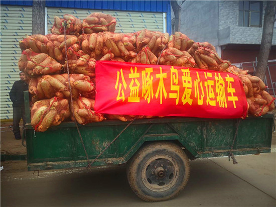 ＂愛心蘿卜＂來了！