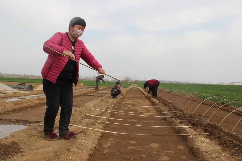 疫情防控、春耕生產(chǎn)兩手抓