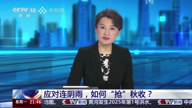 【主流媒體看周口】面對(duì)連陰雨 如何“搶”秋收？