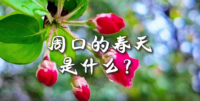 周口的春天，待你慢慢遇見