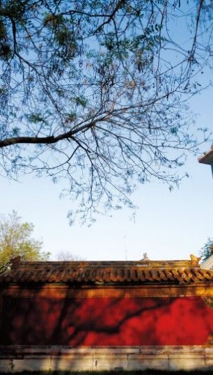 畢業(yè)旅行:走進中國古代最高學(xué)府國子監(jiān)